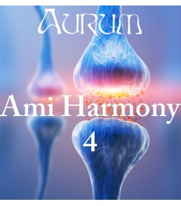 Ami Harmony 4