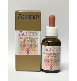 Fiore di Miriam - Rosa Canina