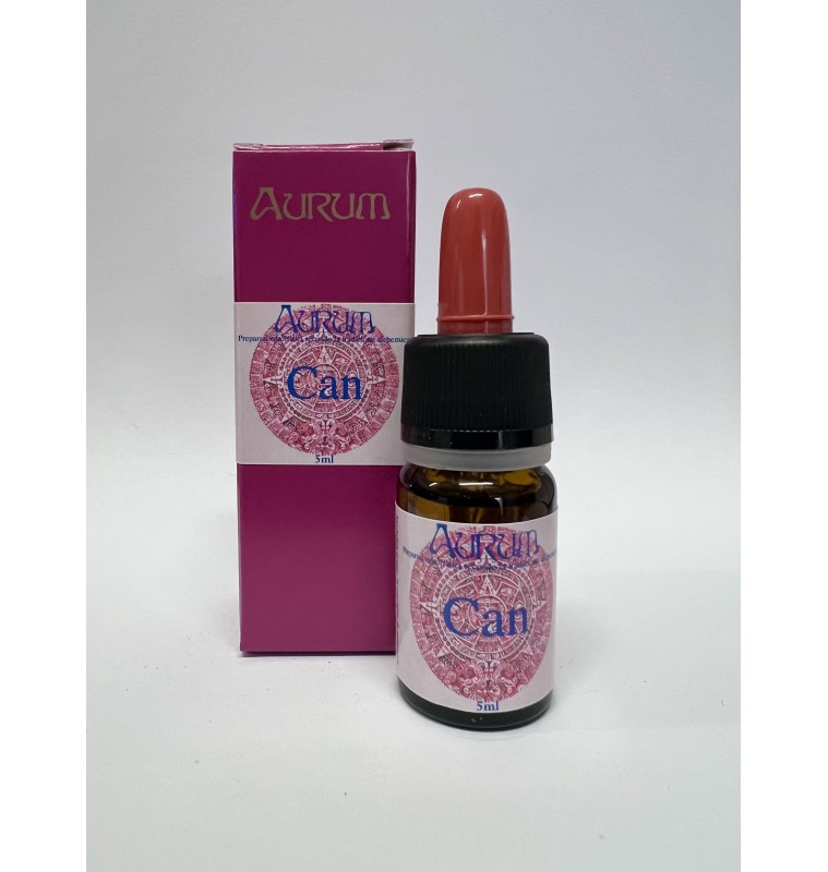 Can -4 Autoesistente