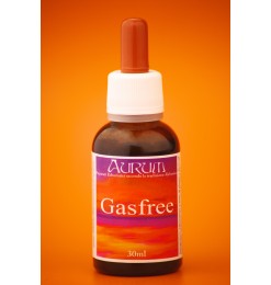 Gasfree