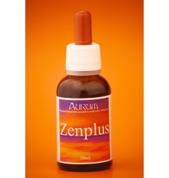 Zenplus