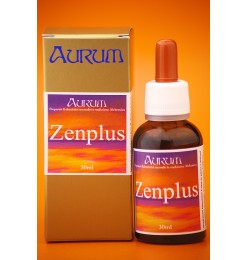 Zenplus