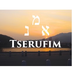 Tserufim 22