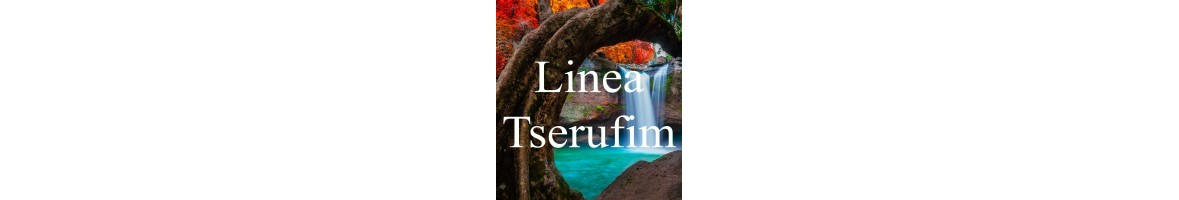 Linea Tserufim