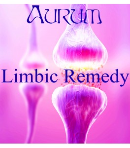 Limbic Remedy